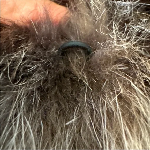 DION FURS Chicago fur size 12-14 Large - Picture 8 of 12